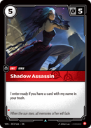 Shadow Assassin - 13 - [VEN]