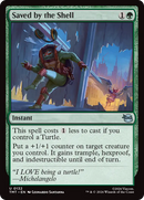 Saved by the Shell [Teenage Mutant Ninja Turtles]