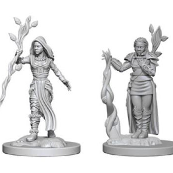 D&D Mini Human Female Druid