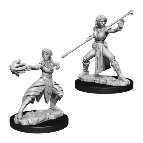 D&D Mini Female Half-elf Monk